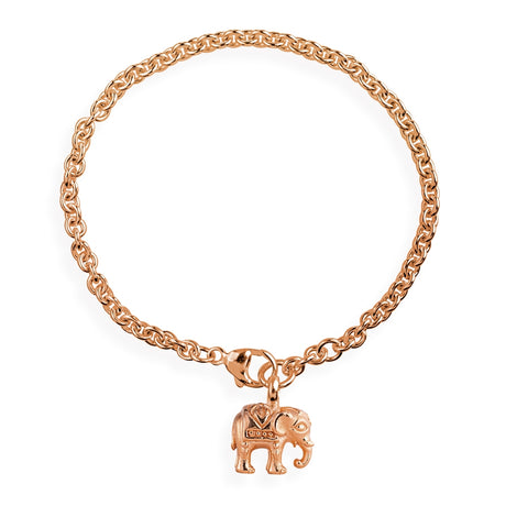 Ganesha Ankerketten Armband mit einem Elefanten Einhänger und Karabiner in der Länge 20 cm
