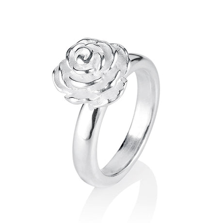Rosenregen kleiner Rosen Ring
