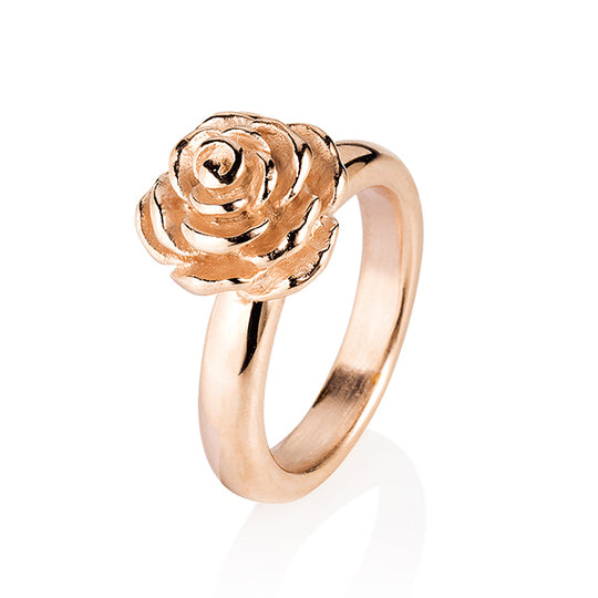 Rosenregen kleiner Rosen Ring