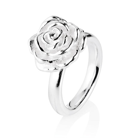 Rosenregen mittlerer Rosen Ring