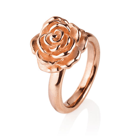 Rosenregen mittlerer Rosen Ring