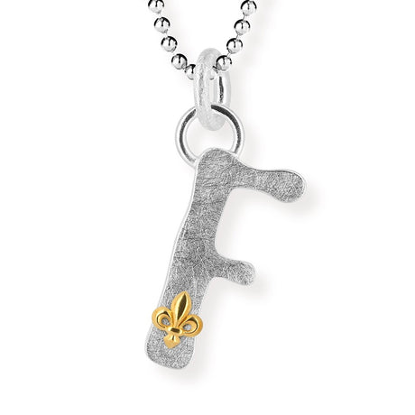ABC Buchstabe F-Anhänger mit Motiv